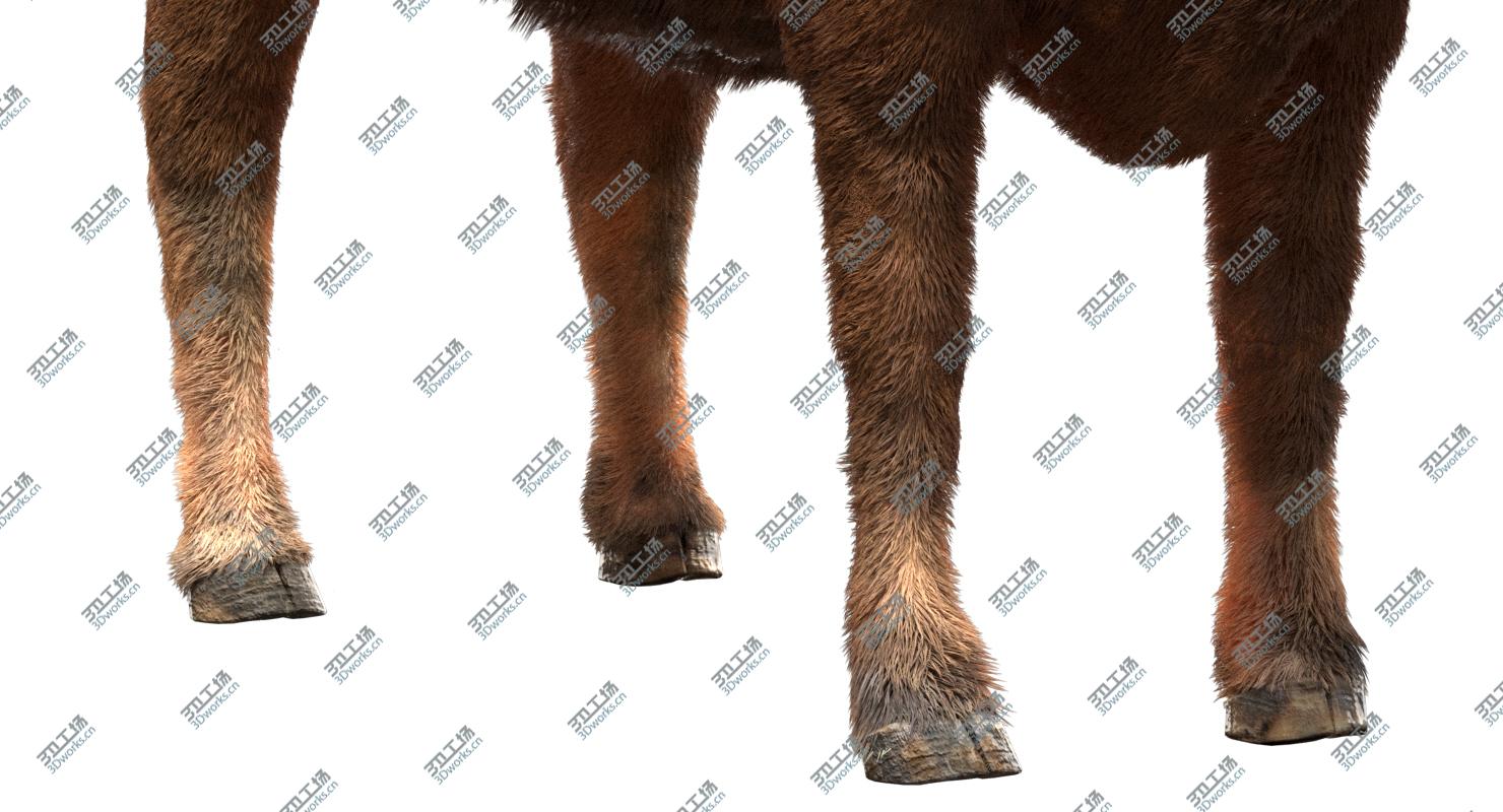 images/goods_img/2021040233/Cow (Rigged) 3D model/5.jpg